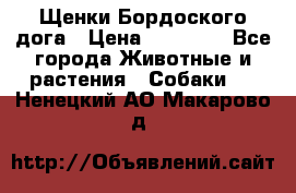 Щенки Бордоского дога › Цена ­ 60 000 - Все города Животные и растения » Собаки   . Ненецкий АО,Макарово д.